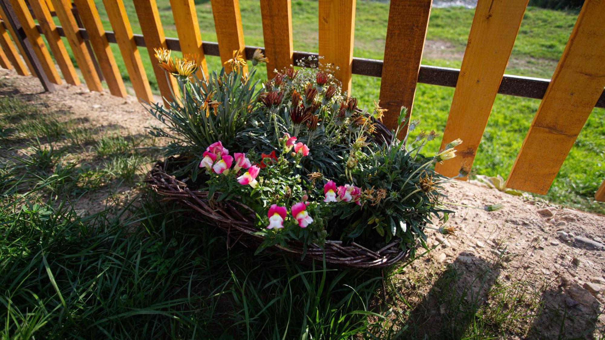 Villa Waterfront Peace Mojkovac Esterno foto